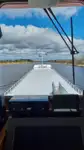 Bulktransportør til salgs