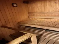 Cruiseskip til salgs