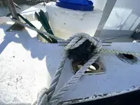 Tråler til salgs
