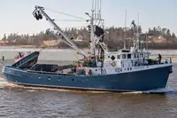 Purse seiner til salgs