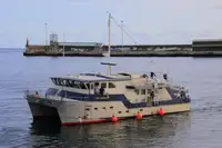 Kartleggingsfartøy til salgs