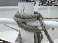 Tråler til salgs