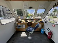 Cruiseskip til salgs