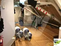 Cruiseskip til salgs