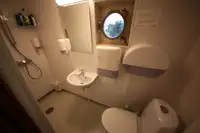 Bulktransportør til salgs