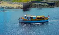 Cruiseskip til salgs