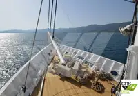 Cruiseskip til salgs