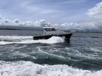Pilotbåt til salgs