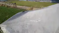 Containerskip til salgs