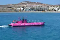 Cruise skip til salgs