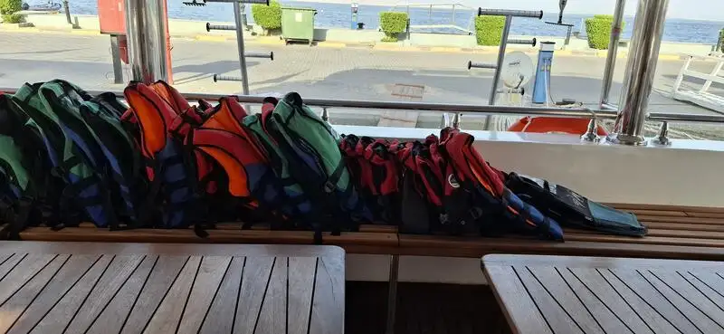 Cruiseskip til salgs