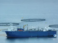 Kjøleskip til salgs