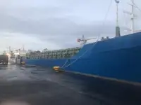 Bulktransportør til salgs