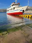 Cruiseskip til salgs