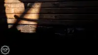 Tråler til salgs