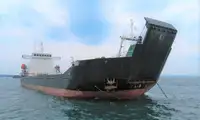 Containerskip til salgs