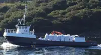 Arbeidsbåter til salgs