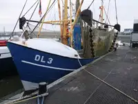 Tråler til salgs