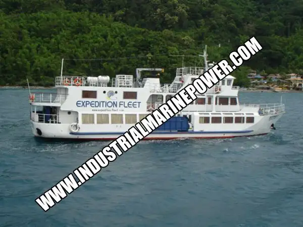 Cruiseskip til salgs