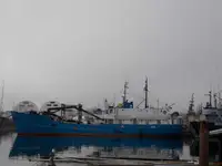 Bulktransportør til salgs
