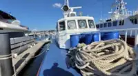 Patruljebåt til salgs