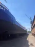 Bulktransportør til salgs