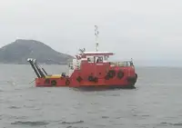Slepebåt til salgs