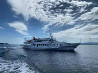 Cruiseskip til salgs