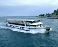 Fergefartøy til salgs