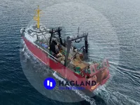 Stor frysetråler til salgs
