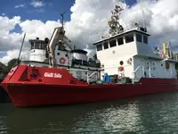 Dredge til salgs