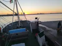 Tråler til salgs