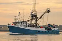 Purse seiner til salgs