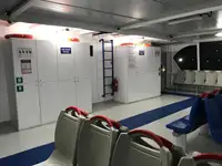 Cruiseskip til salgs