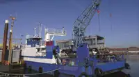 Bulktransportør til salgs