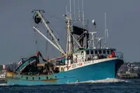 Purse seiner til salgs