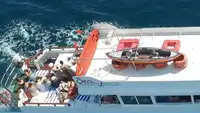 Cruiseskip til salgs