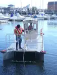Containerskip til salgs