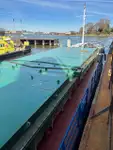 Bulktransportør til salgs