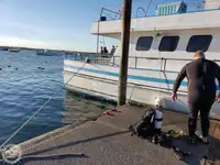 Fergefartøy til salgs
