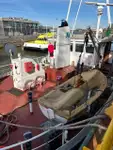 Bulktransportør til salgs
