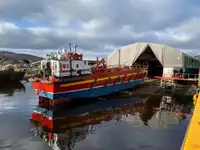 Ro-Ro ship til salgs