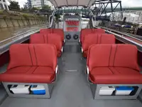 Cruiseskip til salgs