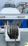 Cruiseskip til salgs