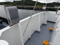 Cruiseskip til salgs