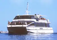Katamaran til salgs