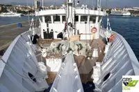 Cruiseskip til salgs