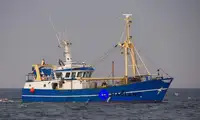 Beam trawler til salgs