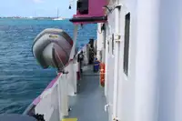 General Cargo/Multi-purpose til salgs