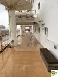 Cruiseskip til salgs